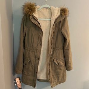 Hollister Winter Jacket